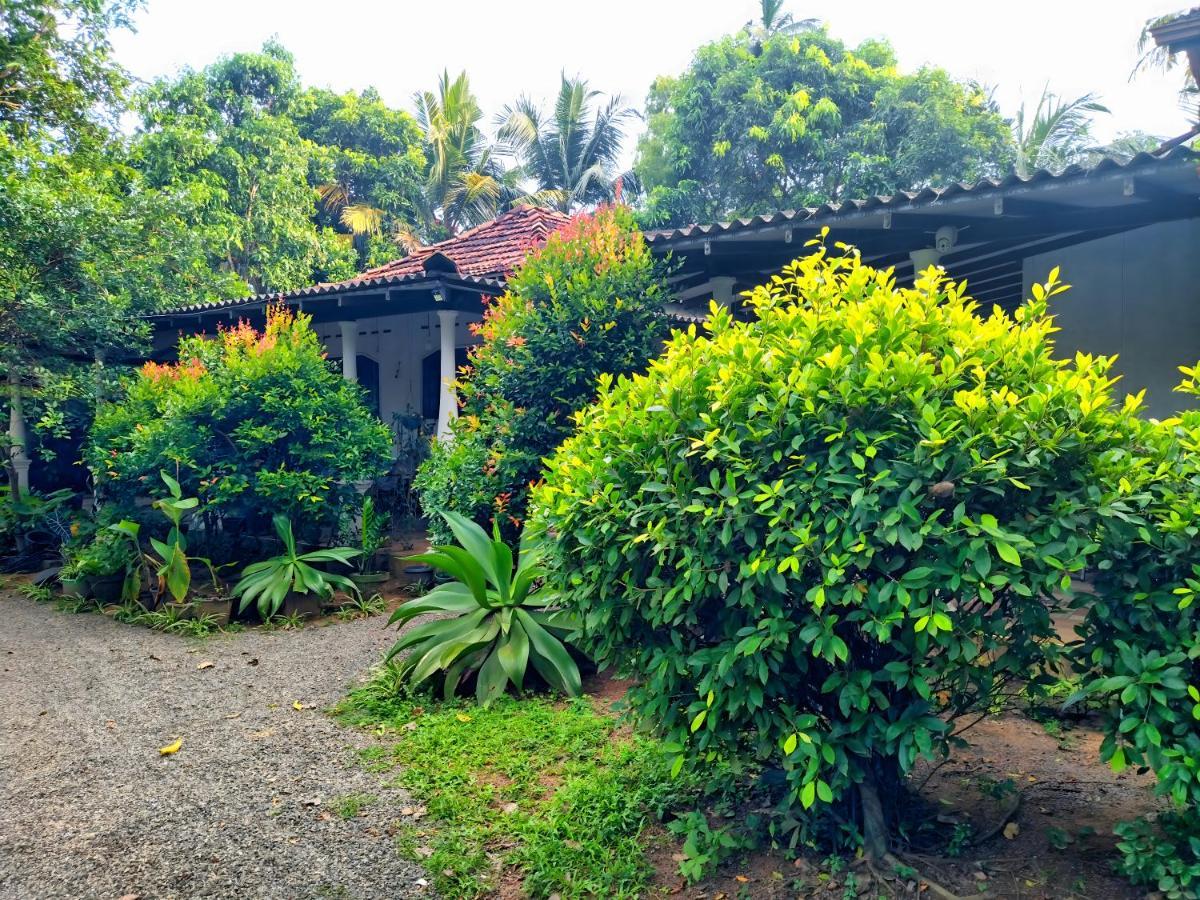 Dickwella Green Villa Exterior photo